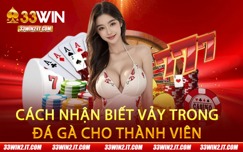 Cách nhận biết vảy trong đá gà cho thành viên