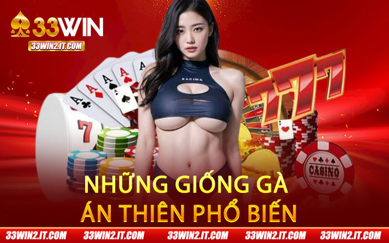 Những giống gà án thiên phổ biến