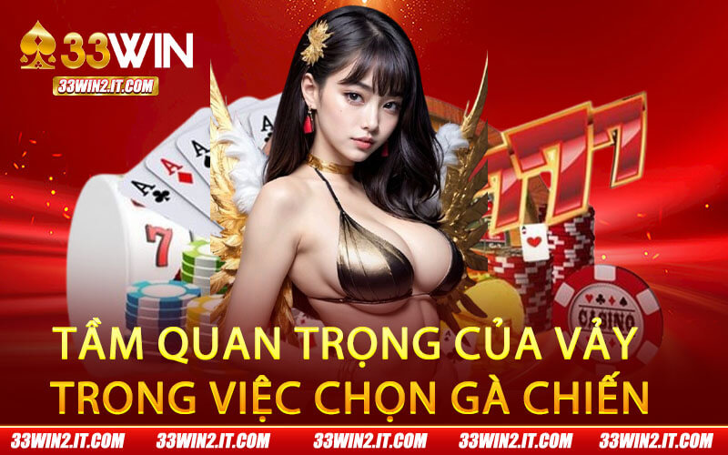 Tầm quan trọng của vảy trong việc chọn gà chiến